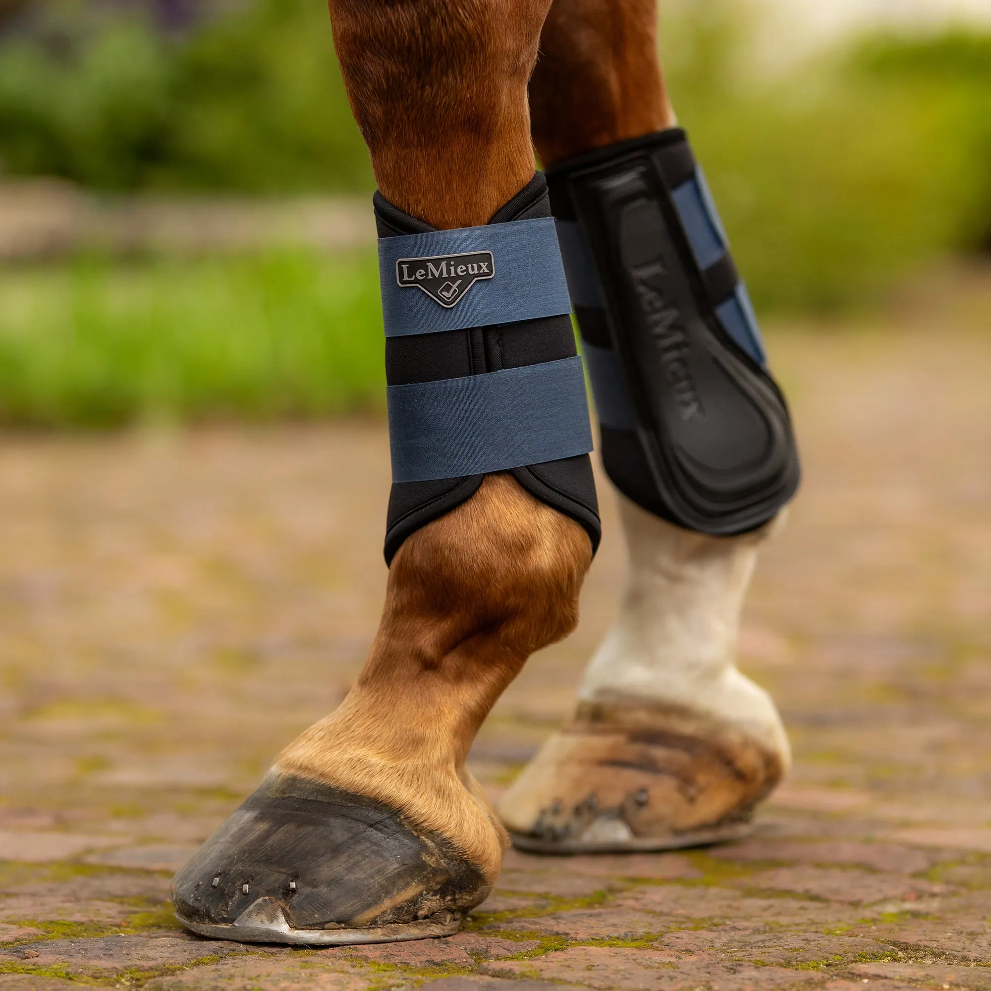 Lemieux Grafter Brushing Boots - Atlantic